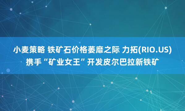 小麦策略 铁矿石价格萎靡之际 力拓(RIO.US)携手“矿业女王”开发皮尔巴拉新铁矿