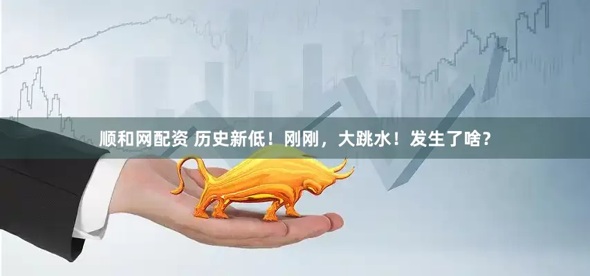 顺和网配资 历史新低！刚刚，大跳水！发生了啥？