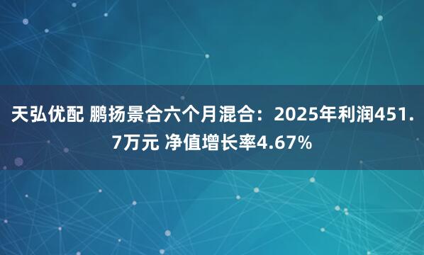天弘优配 鹏扬景合六个月混合：2025年利润451.7万元 净值增长率4.67%