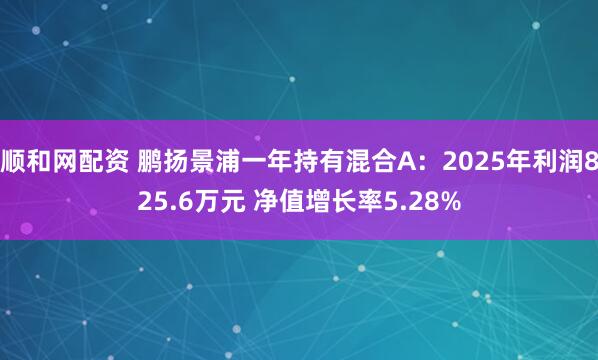 顺和网配资 鹏扬景浦一年持有混合A：2025年利润825.6万元 净值增长率5.28%